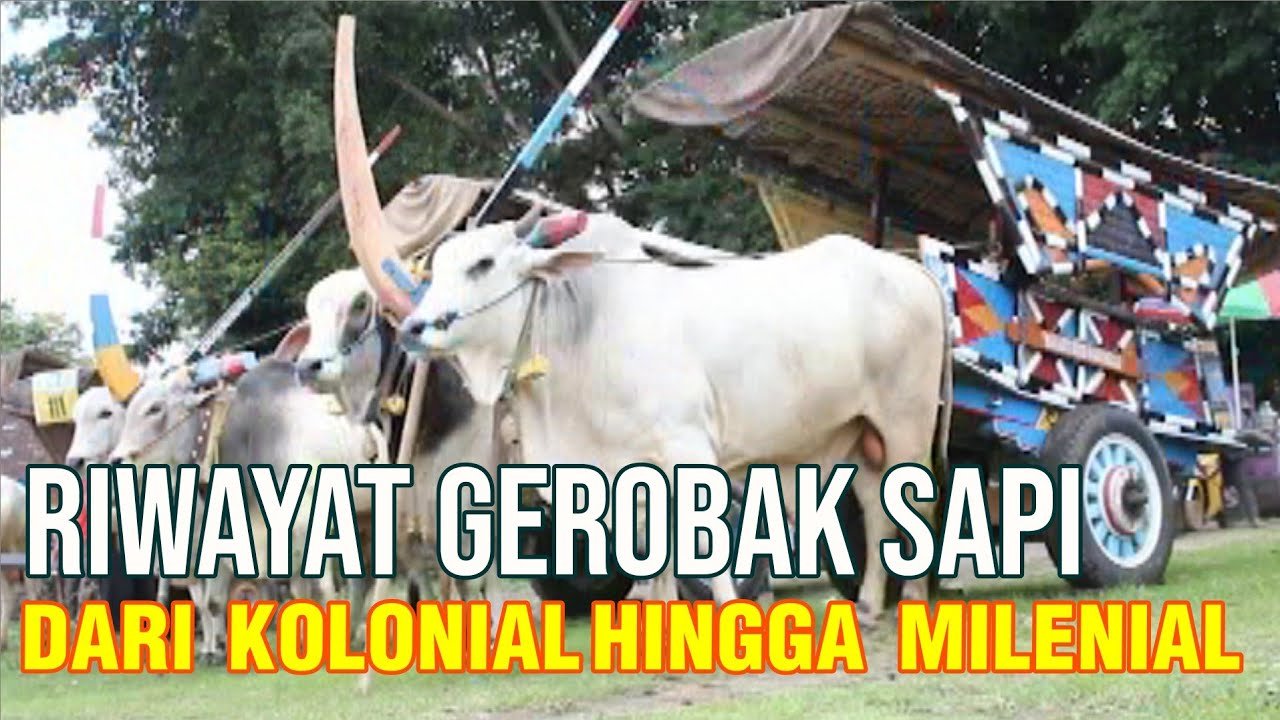 Gerobak Sapi Dari Zaman Kolonial Hingga Milenial.jpg